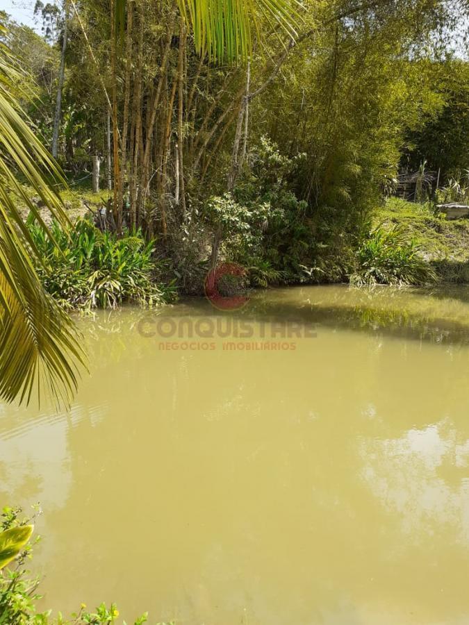 Chácara à venda com 6 quartos, 500m² - Foto 1