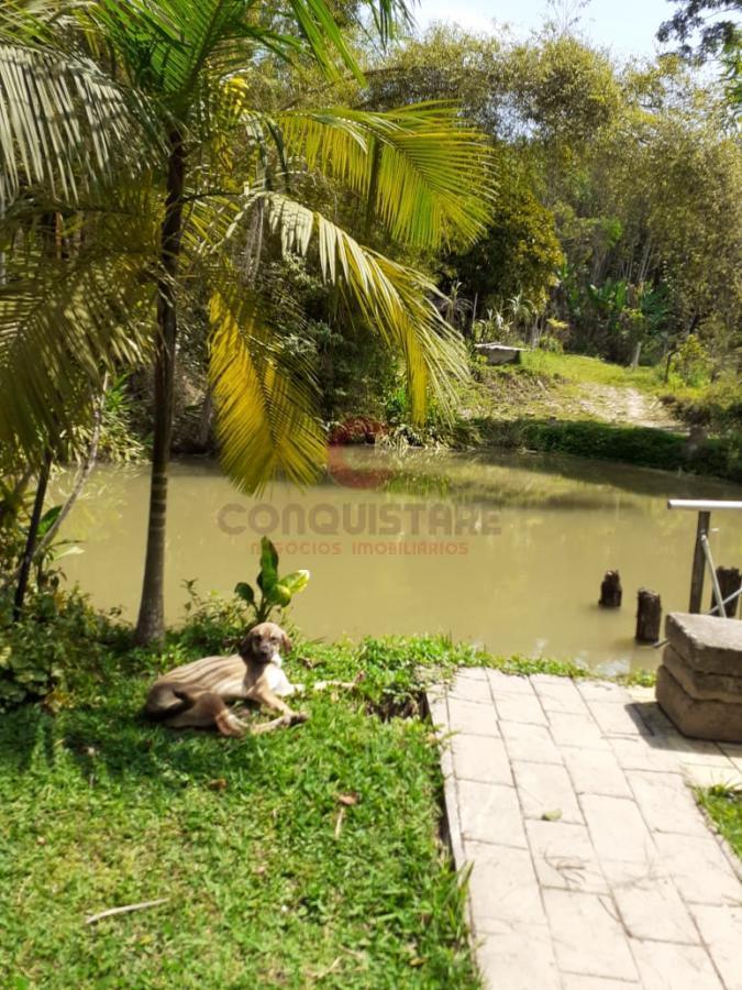 Chácara à venda com 6 quartos, 500m² - Foto 3