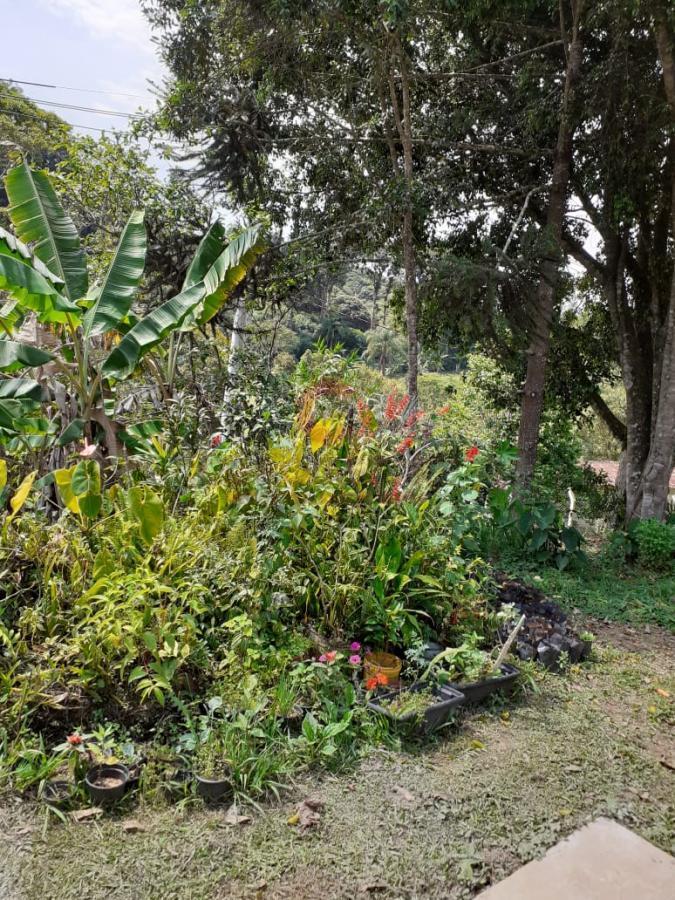 Chácara à venda com 6 quartos, 500m² - Foto 4