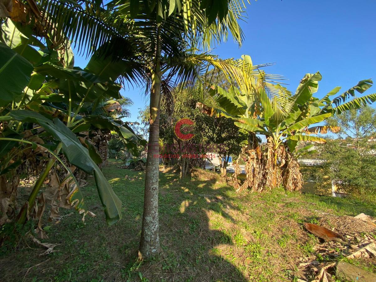 Chácara à venda com 4 quartos, 3200m² - Foto 17