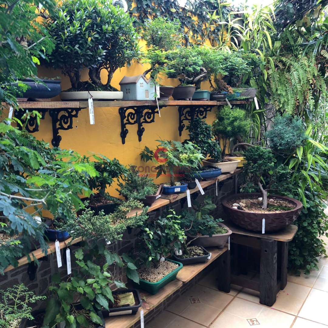 Sobrado, 3 quartos, 218 m² - Foto 6