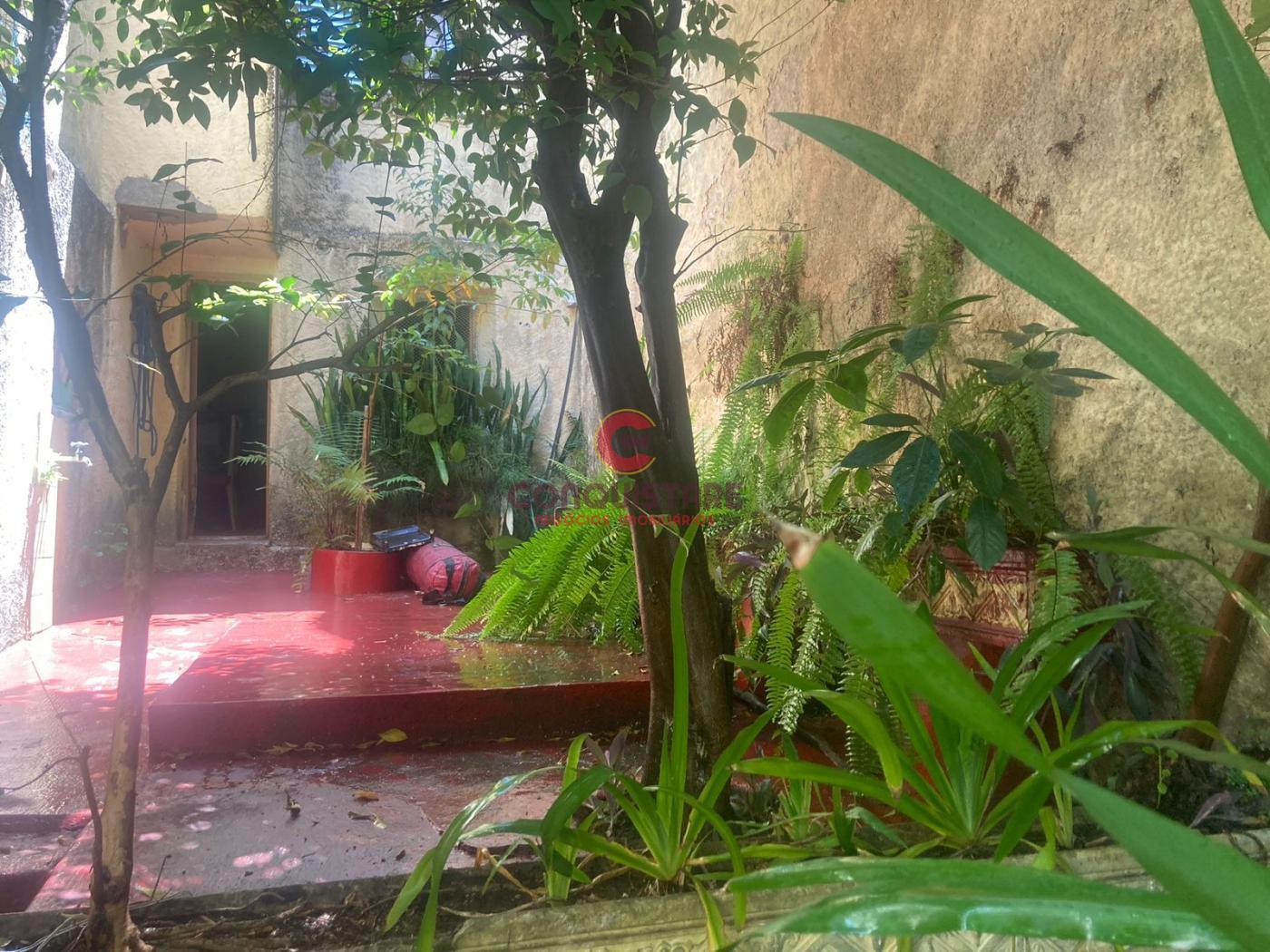 Casa, 3 quartos, 280 m² - Foto 17